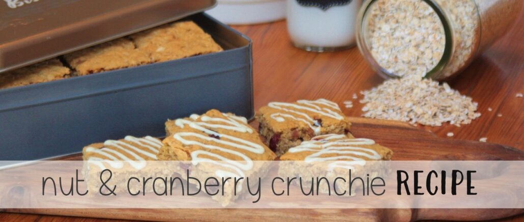 Nut And Cranberry Crunchies Recipe thesupermomsclub.com