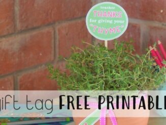 Thanks For Giving Your Thyme Pot Plant Gift thesupermomsclub.com