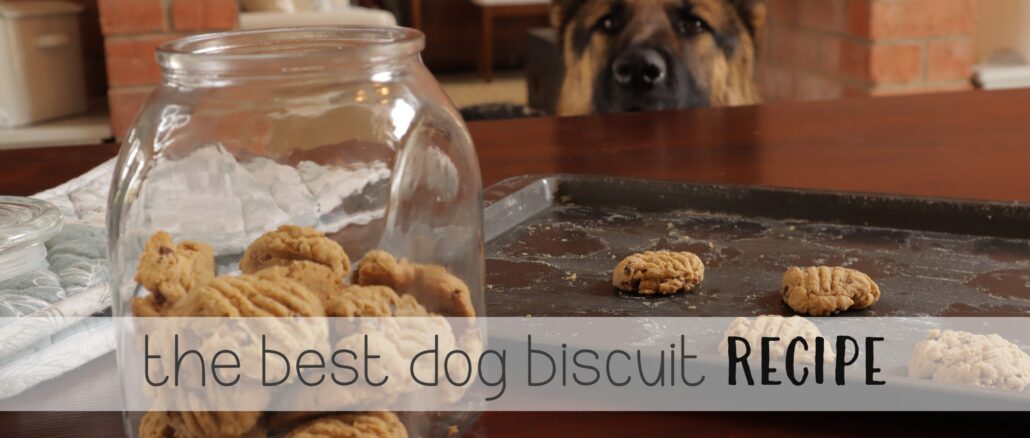 The Best Dog Biscuit Recipe