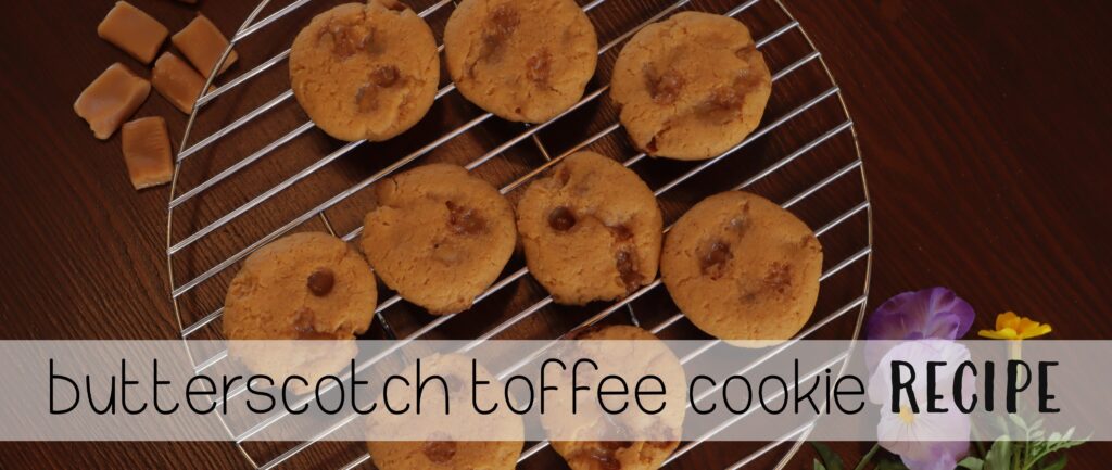 Butterscotch Toffee Cookie Recipe - thesupermomsclub.com