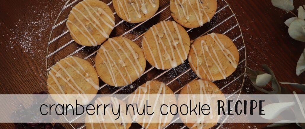 Cranberry Nut Cookie Recipe - thesupermomsclub.com